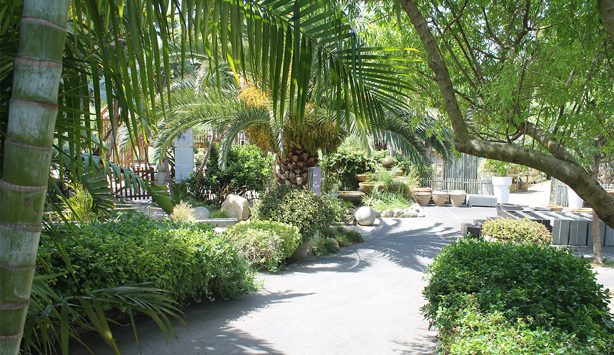 Tree-lined garden pathway at Earthworx Garden World in Hout Bay